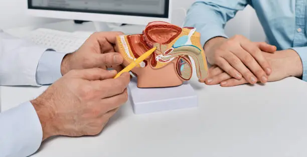 Urinoct Prostate Support